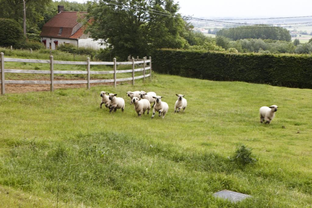Vacation Home Landgoed De Monteberg Dranouter Pokój zdjęcie
